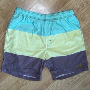 Element x Bad Brains Men’s Swim Trunks
